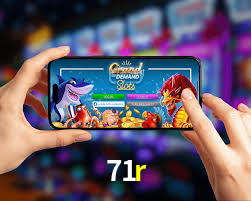 Premium Interface 71r